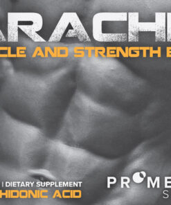 Arachne – Muscle and Strength Booster