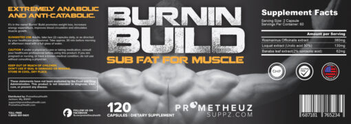 Burnin Build – Sub Fat for Muscle